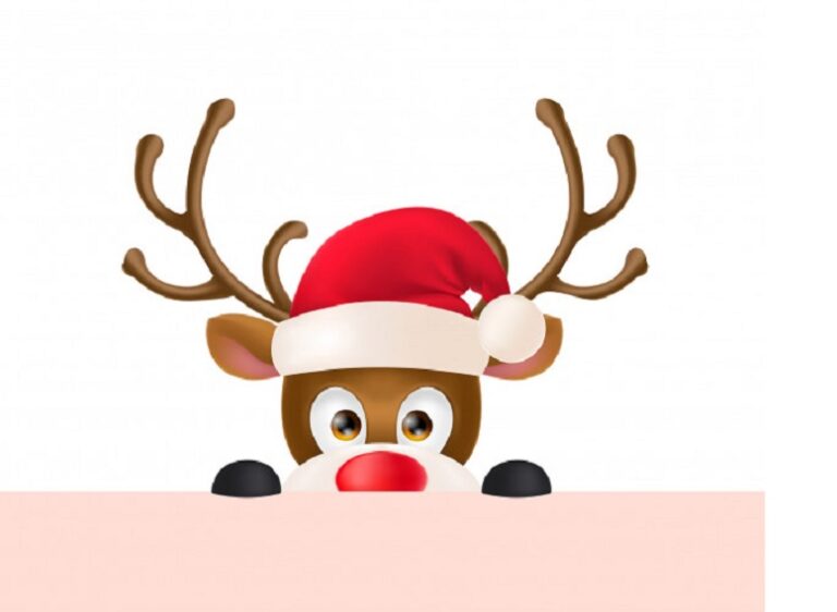 Cum arata Craciunul in familiile cu copii mici