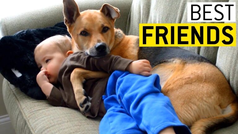 O prietenie adevărată: copiii și câinii