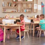 Sistemul Montessori