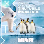 627369146_766407573173983_5240624333821791983_n